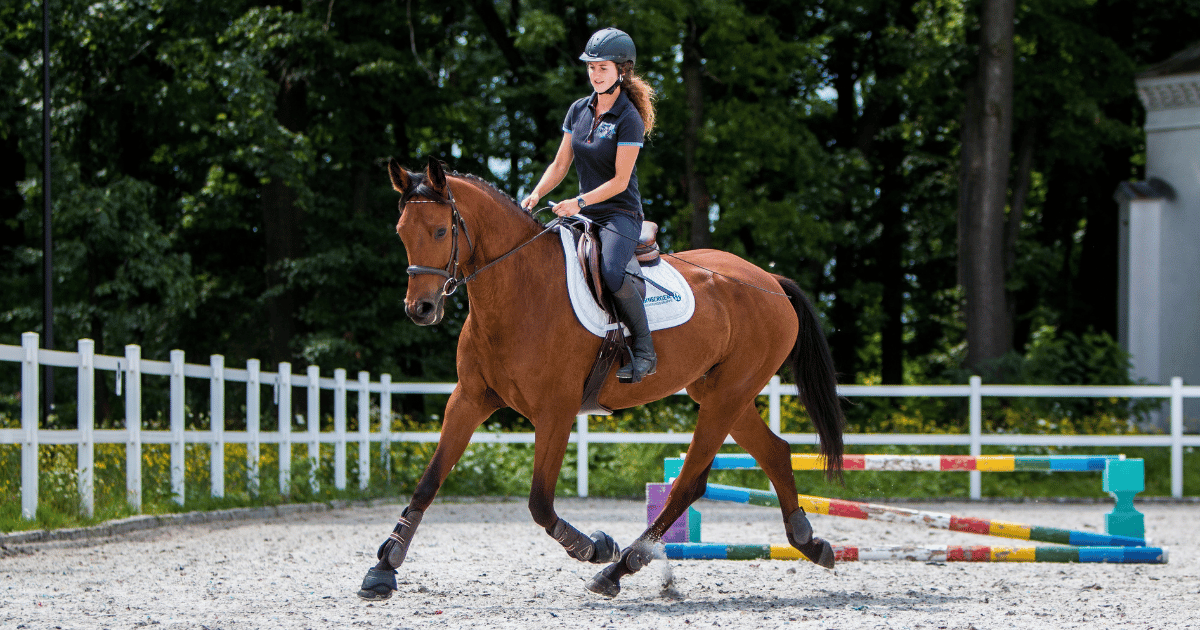 Kompleksowy Trening Jeździecki